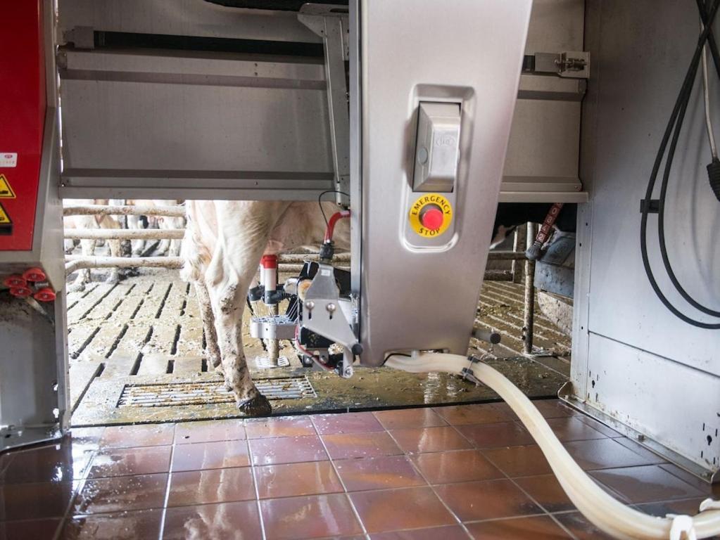 Ferienwohnung Sonnenaufgangsgenuss Harriersand Schwanewede المظهر الخارجي الصورة