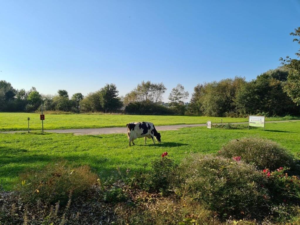 Ferienwohnung Sonnenaufgangsgenuss Harriersand Schwanewede المظهر الخارجي الصورة